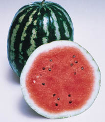 Organic Non-GMO Crimson Sweet Watermelon